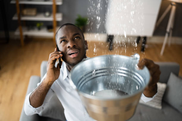 Best Basement water damage restoration  in Willoughby, OH