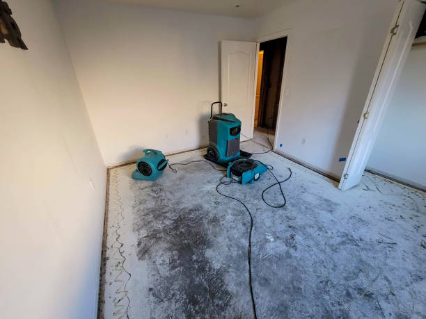 Best Fire Damage Restoration  in Willoughby, OH