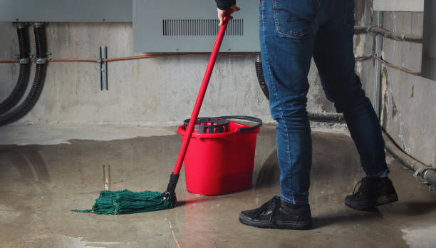 Best Water damage cleanup near me  in Willoughby, OH