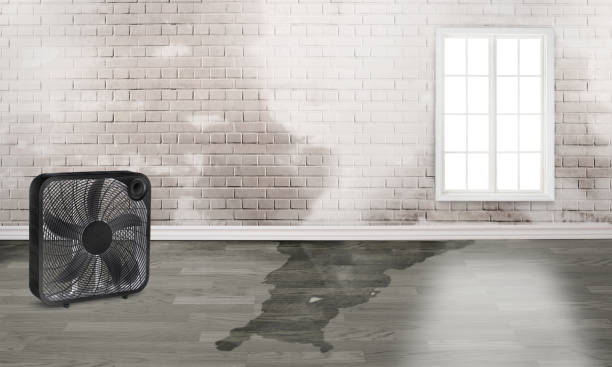 Best 24/7 water damage repair  in Willoughby, OH