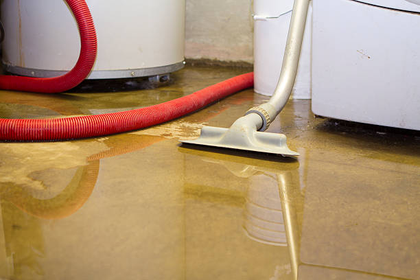 Best Water damage mitigation services  in Willoughby, OH