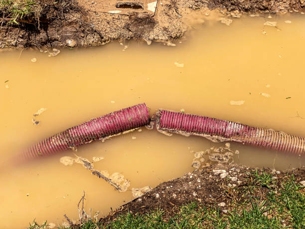 Best Flood restoration services  in Willoughby, OH