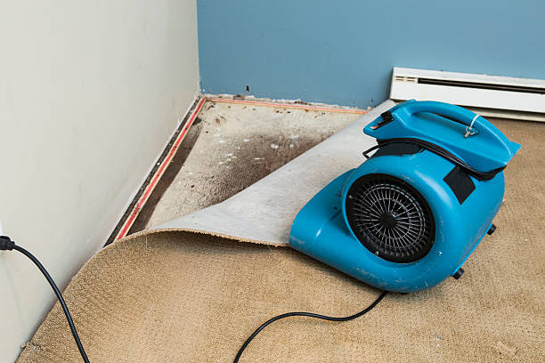 Best Professional water damage repair  in Willoughby, OH